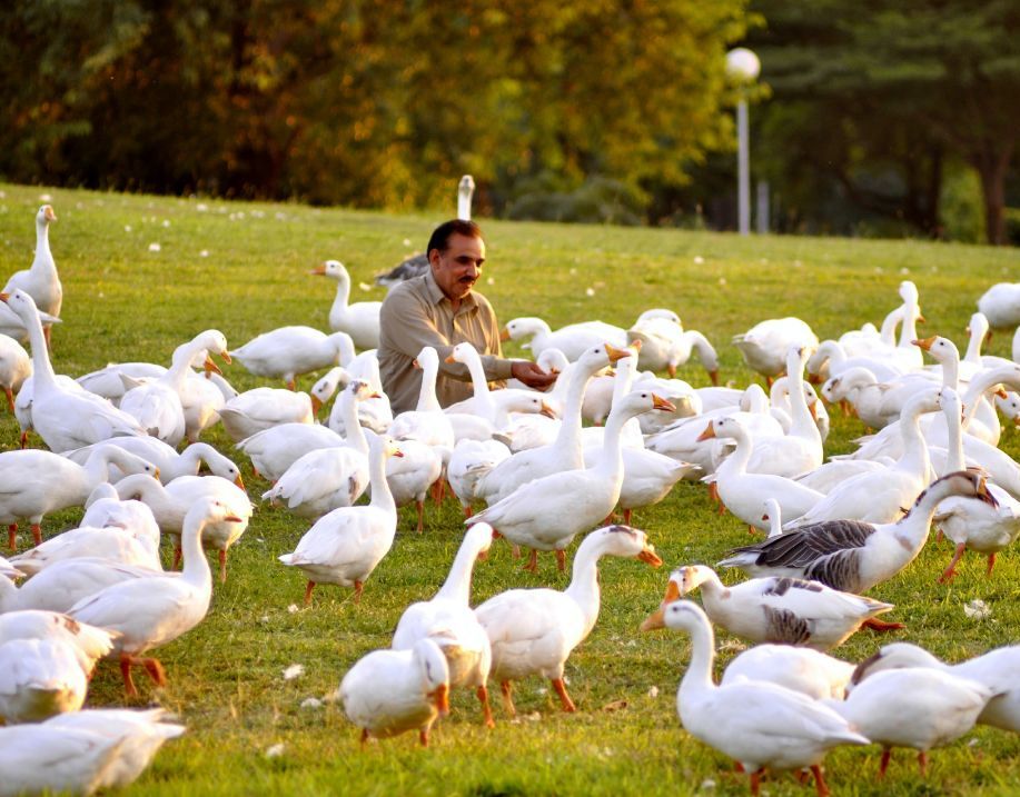 Консультация по выбору наполнителя